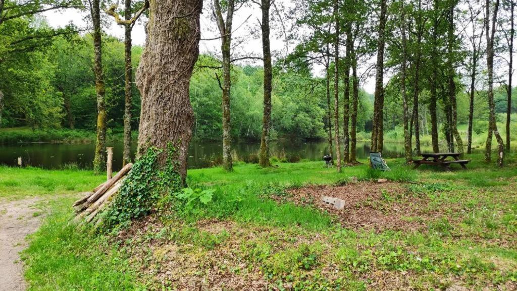 Cap Nature - T3 Et T4 En Perigord Vert - Ideal Pros Et Groupes Max 18P Champniers-et-Reilhac Buitenkant foto