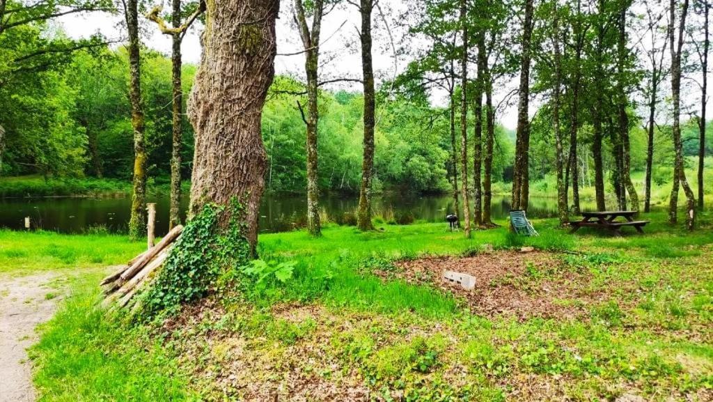 Cap Nature - T3 Et T4 En Perigord Vert - Ideal Pros Et Groupes Max 18P Champniers-et-Reilhac Buitenkant foto