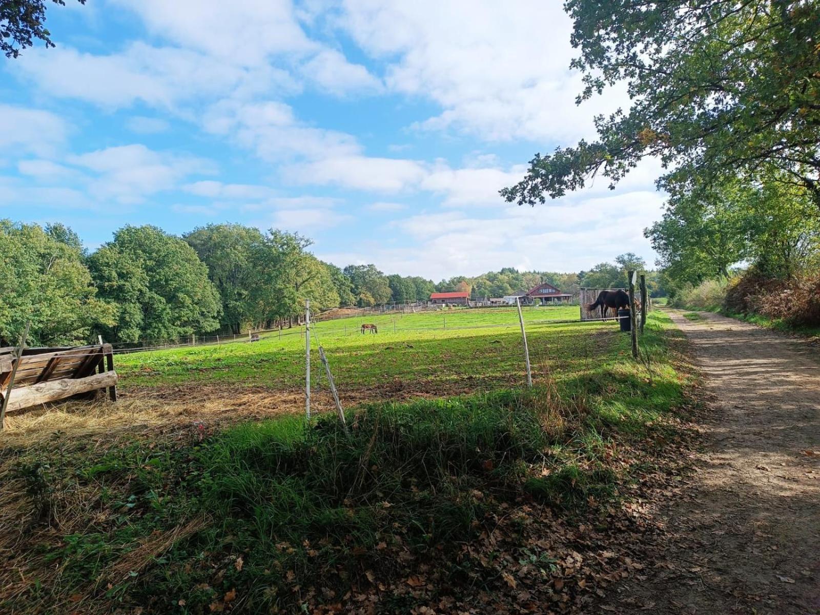 Cap Nature - T3 Et T4 En Perigord Vert - Ideal Pros Et Groupes Max 18P Champniers-et-Reilhac Buitenkant foto