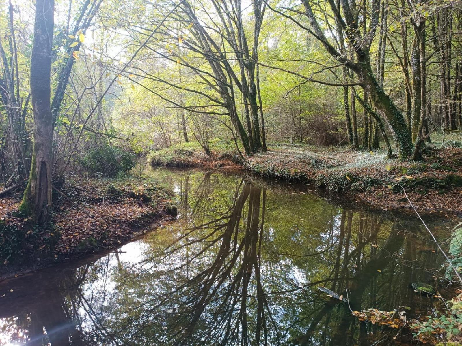 Cap Nature - T3 Et T4 En Perigord Vert - Ideal Pros Et Groupes Max 18P Champniers-et-Reilhac Buitenkant foto