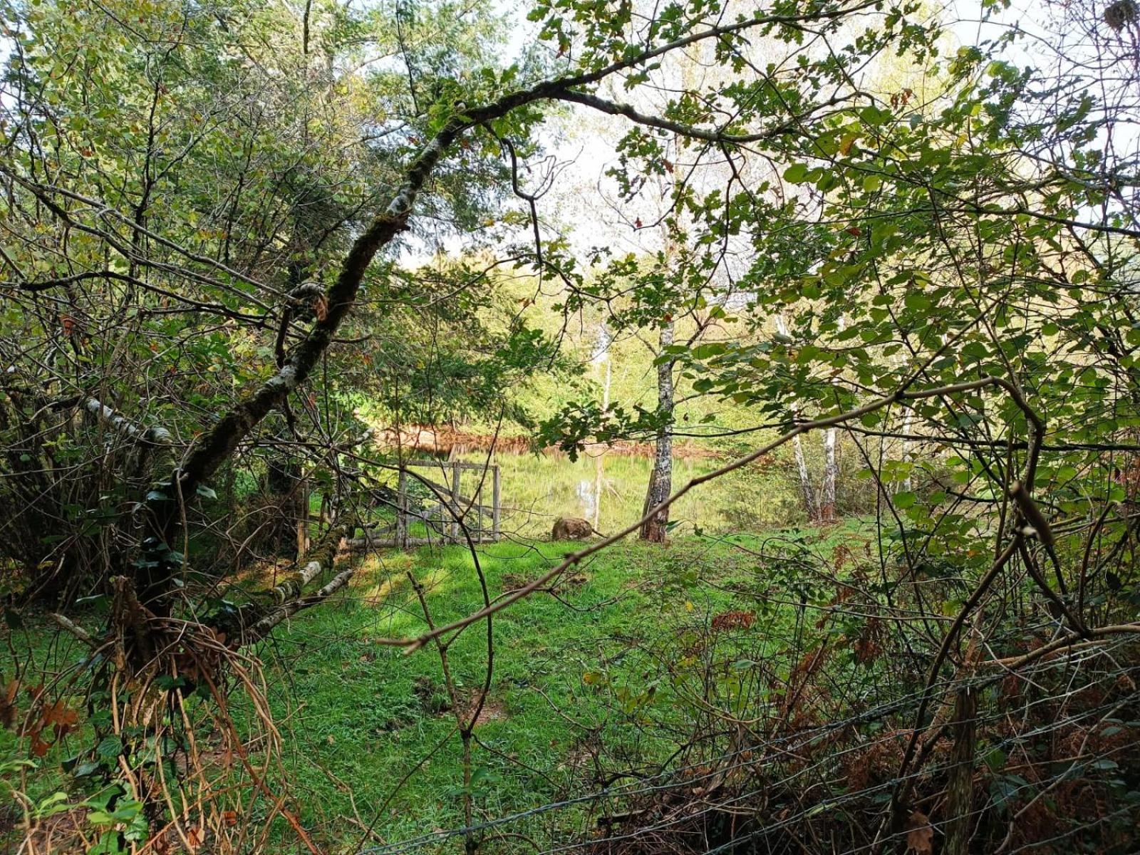 Cap Nature - T3 Et T4 En Perigord Vert - Ideal Pros Et Groupes Max 18P Champniers-et-Reilhac Buitenkant foto
