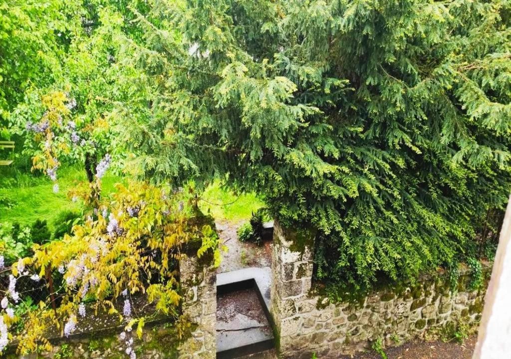 Cap Nature - T3 Et T4 En Perigord Vert - Ideal Pros Et Groupes Max 18P Champniers-et-Reilhac Buitenkant foto